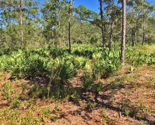 8503 W Freemont Street, Homosassa, FL, 34448 | Card Image