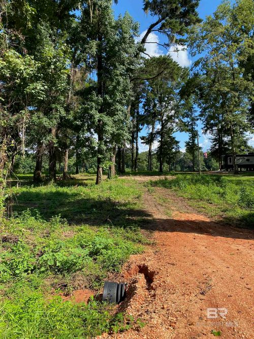 87 Sandy Bottoms Road, Gainestown, AL, 36540 | Card Image