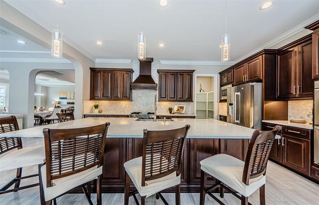 29038 Picana Ln, House other with 4 bedrooms, 4 bathrooms and null parking in WESLEY CHAPEL FL | Image 26