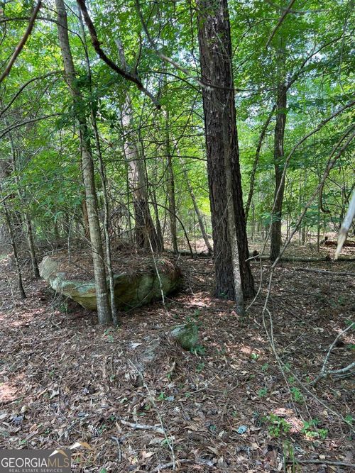 0 Crooked Creek Bay Rd, Eatonton, GA, 31024 | Card Image