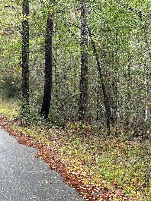 TBD County Road 065, Jasper, TX, 75951 | Card Image