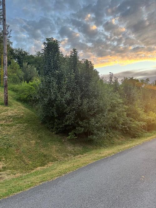 TBD Maid St, Pounding Mill, VA, 24637 | Card Image