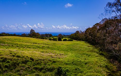 28-583 Kaupakuea Homestead Rd, Pepeekeo, HI, 96783 | Card Image