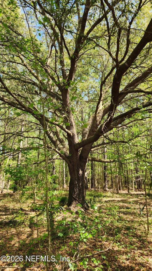 4400 Falcon Run Ln, MIDDLEBURG, FL, 32068-3726 | Card Image