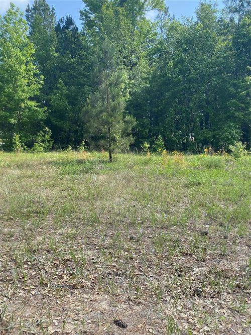 2334 Pineneedle Ct, Hamer, SC, 29547-7164 | Card Image