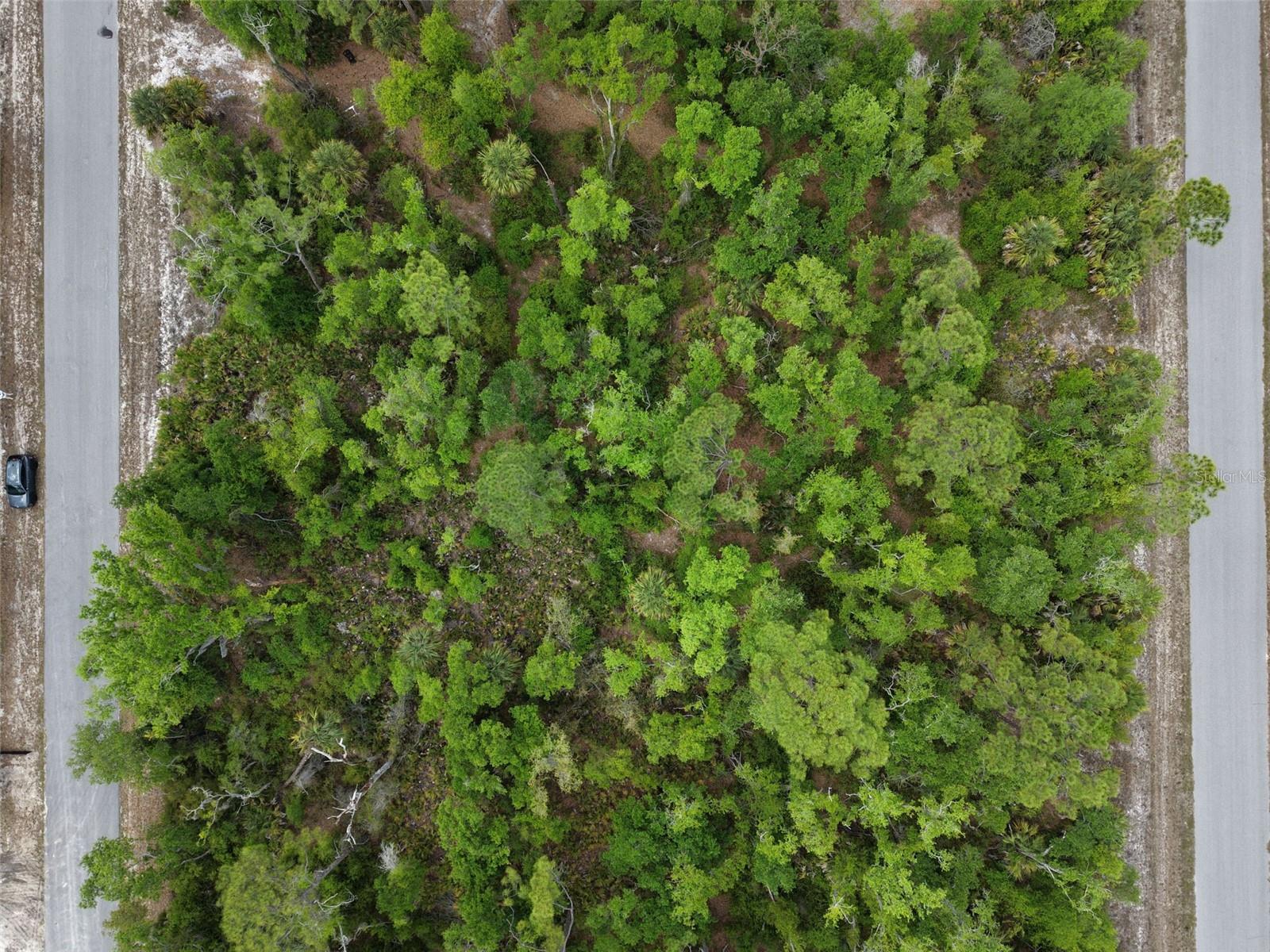 Land in PORT CHARLOTTE 2