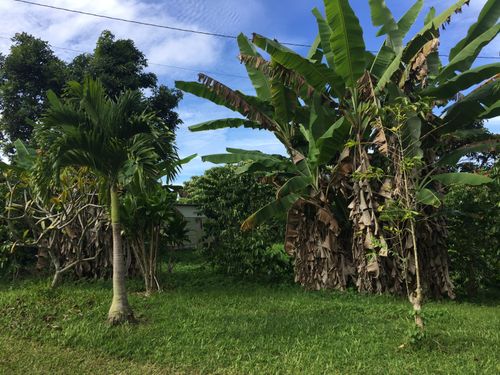 88-2660 Papa Homestead Rd, Captain Cook, HI, 96704 | Card Image