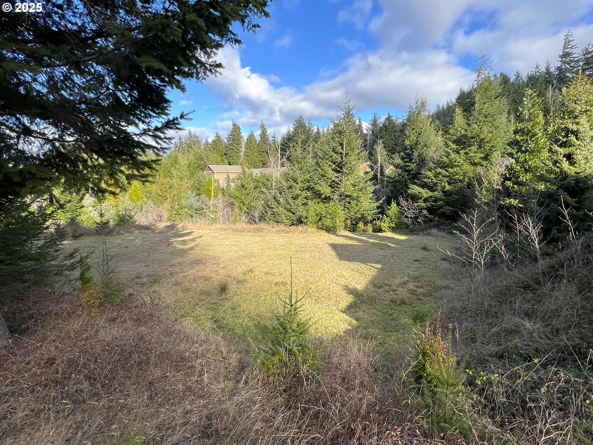 Land in CoosBay 4
