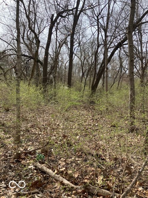 2509 E 80th St, Indianapolis, IN, 46240-2762 | Card Image