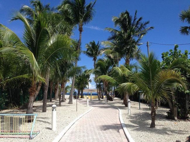3D - 1395 S Ocean Blvd, Condo with 3 bedrooms, 2 bathrooms and null parking in Pompano Beach FL | Image 16