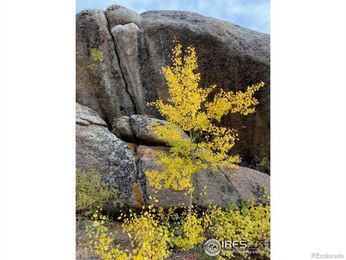 0-0 Northwoods Dr, Red Feather Lakes, CO, 80545 | Card Image