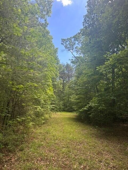 43 Bluffs Woods, Altamont, TN, 37301 | Card Image