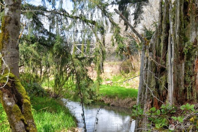 1159 King Rd, House other with 3 bedrooms, 2 bathrooms and 2 parking in Winlock WA | Image 23