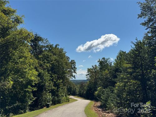 60-0 Bear Cliff Way, Lake Lure, NC, 28746 | Card Image