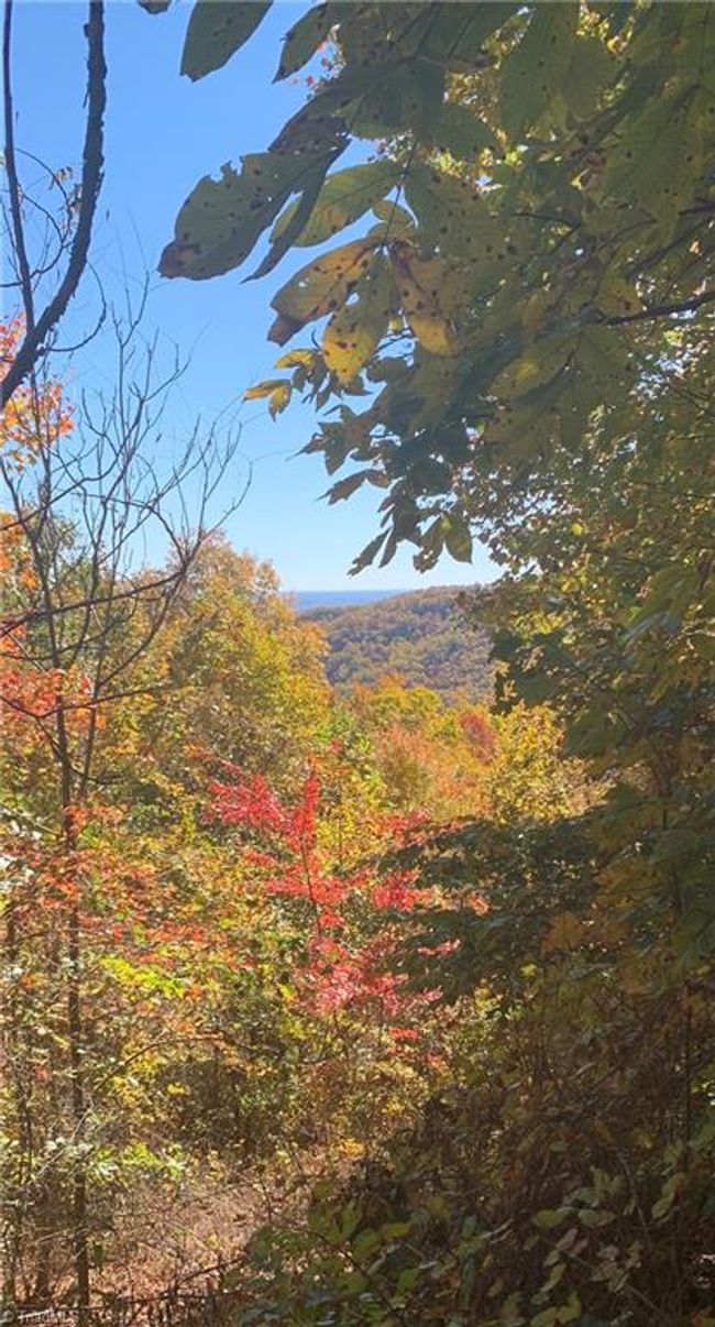 Lot 9 Falcon Ridge Dr, Home with 0 bedrooms, 0 bathrooms and null parking in Moravian Falls NC | Image 7