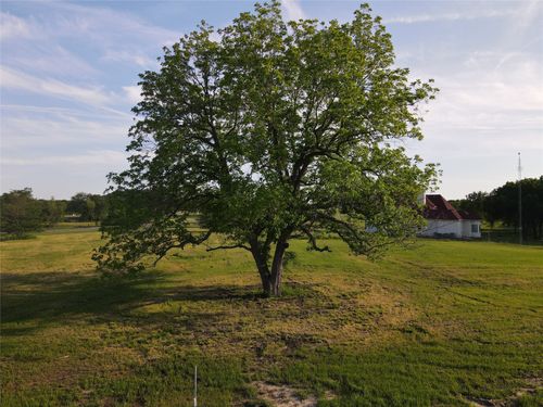 290 Wildflower Way, Dodd City, TX, 75438 | Card Image