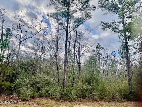 Lot 9 Red Rd, Marianna, FL, 32448 | Card Image