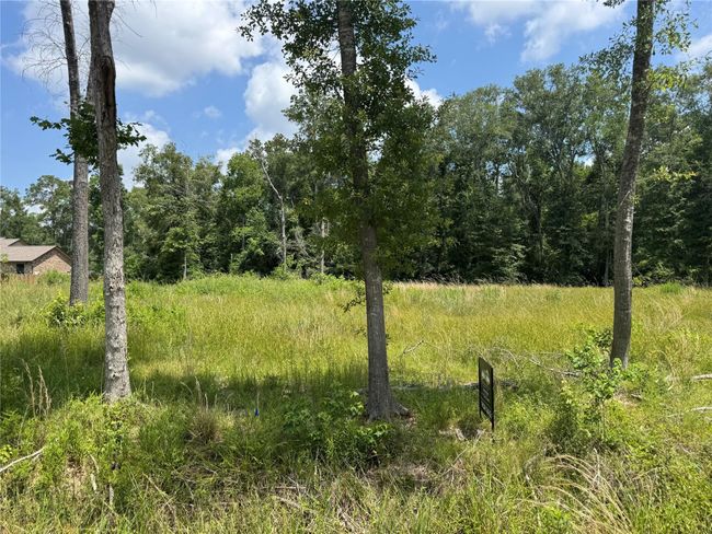35 Sycamore St, Home with 0 bedrooms, 0 bathrooms and null parking in New Caney TX | Image 5