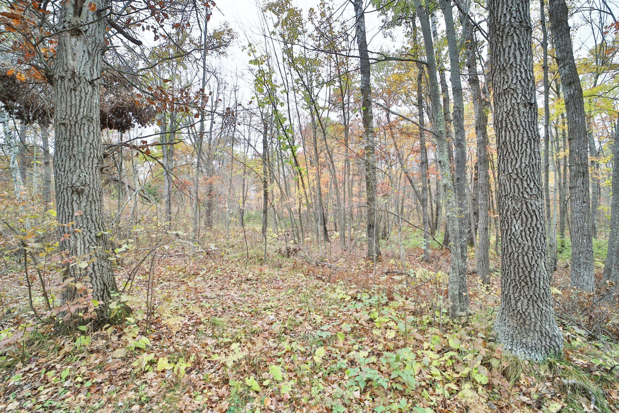 Land in Pine River 5