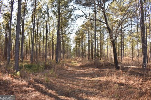 0 Bancroft Rd, Blakely, GA, 39823 | Card Image