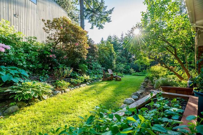 View of green lawn | Image 22