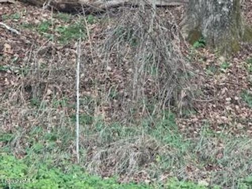 0 Clayton Mill River Rd, Great Barrington, MA, 01230 | Card Image