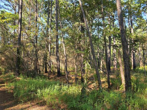 0 Sweetleaf Ln, Plantersville, TX, 77363 | Card Image
