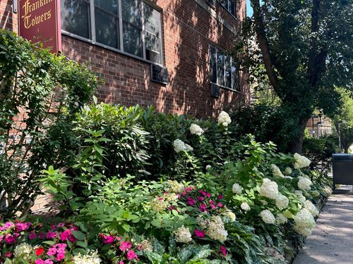 apt-2k-25 Franklin Ave, White Plains, NY, 10601-3822 | Card Image