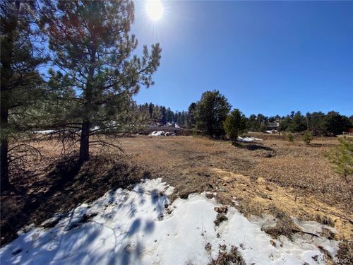 174 Chickadee Dr, BAILEY, CO, 80421 | Card Image