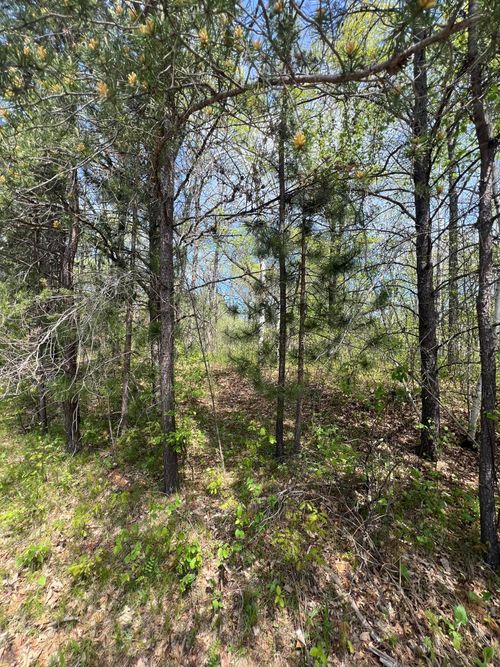 TBD Oak Dr. (Lot 1), Moose Lake, MN, 55767 | Card Image