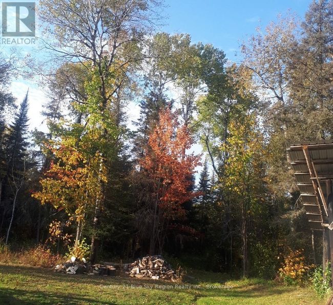 561 Mcdonald Rd, Home with 0 bedrooms, 0 bathrooms and null parking in West Nipissing ON | Image 25