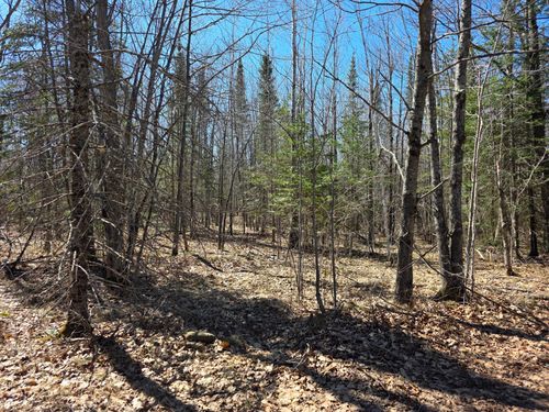 TBD Stark Rd, Cloquet, MN, 55720 | Card Image
