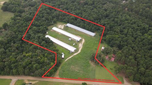 TBD County Road 4114, Pittsburg, TX, 75686 | Card Image