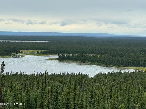 L9 Lou Anne Lane, Gakona, AK, 99586 | Card Image