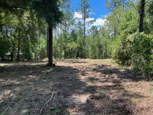 51 Sw 57th Pl, Dunnellon, FL, 34432 | Card Image