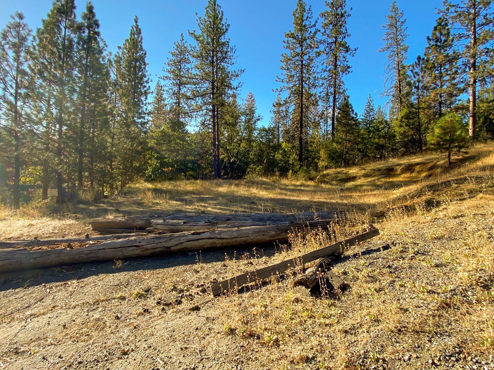 Land in Weaverville 3