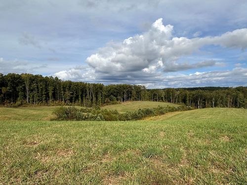 20 ac Billy Ridge Rd, Jamestown, TN, 38556 | Card Image