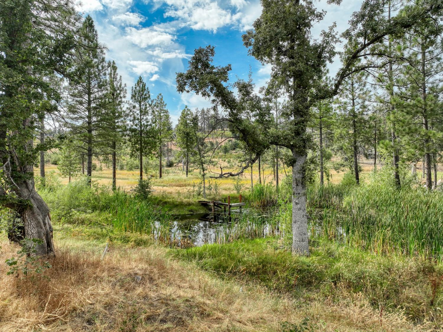 Land in Auberry