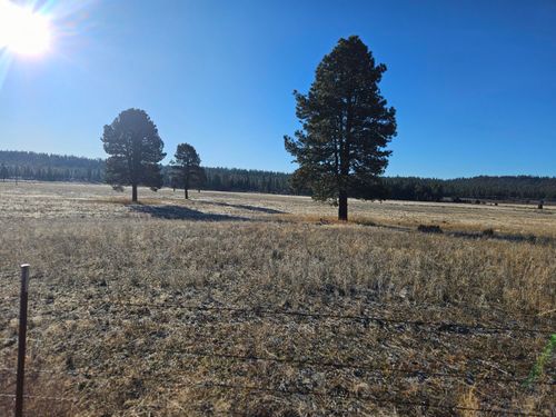 31747 Godowa Springs Rd, Beatty, OR, 97621-3219 | Card Image