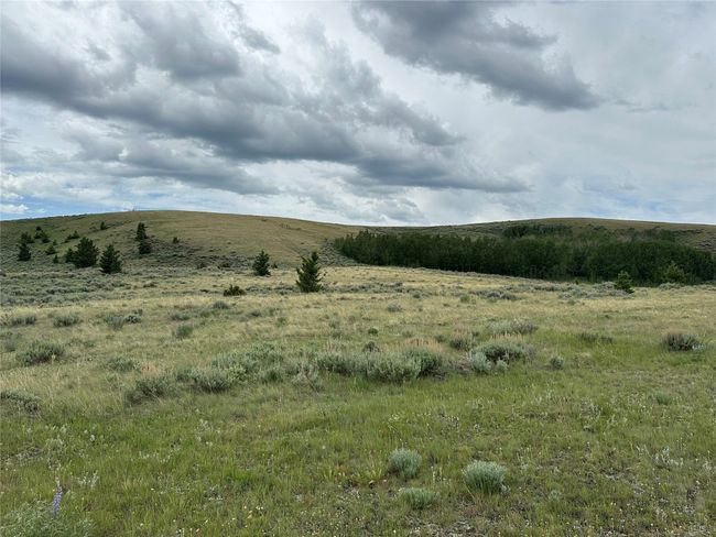 View of local wilderness with rural landscape | Image 26