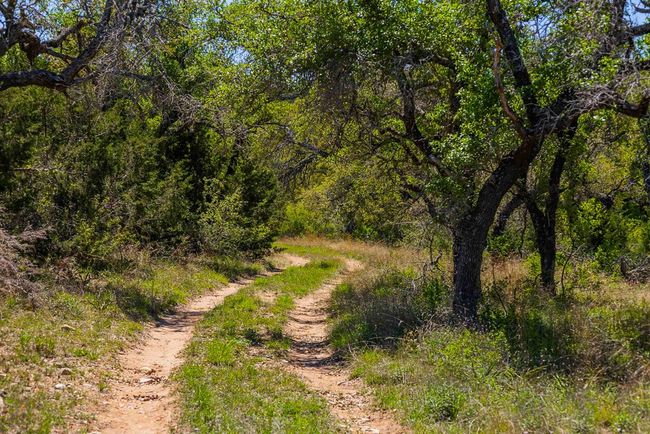 743 Welgehausen Rd, Home with 0 bedrooms, 0 bathrooms and null parking in Fredericksburg TX | Image 45