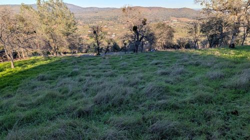 3192 Bow Dr, Copperopolis, CA, 95228-9588 | Card Image