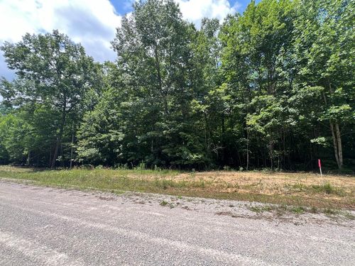 Lot 216 Hargis Rd, Grimsley, TN, 38565 | Card Image