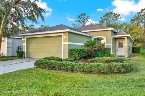 3211 Banyan Hill Lane, Land O Lakes, FL, 34639 | Card Image