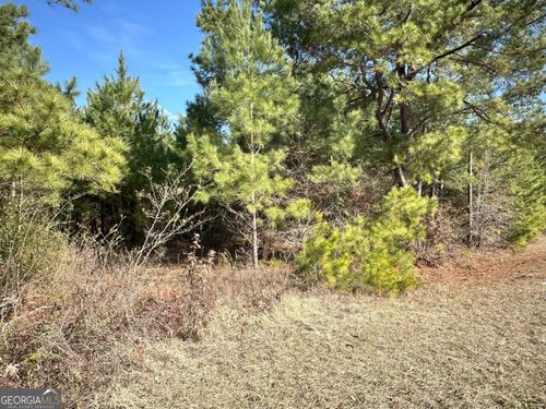 0 Mount Pleasant Rd, Pineview, GA, 31071 | Card Image