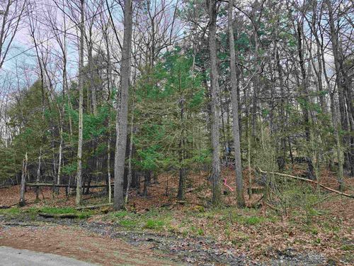 387 Weisenbach Rd, North Ferrisburgh, VT, 05473 | Card Image