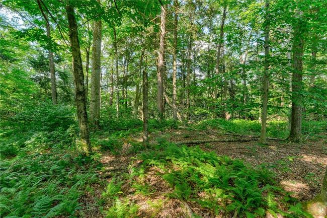 View of landscape | Image 15