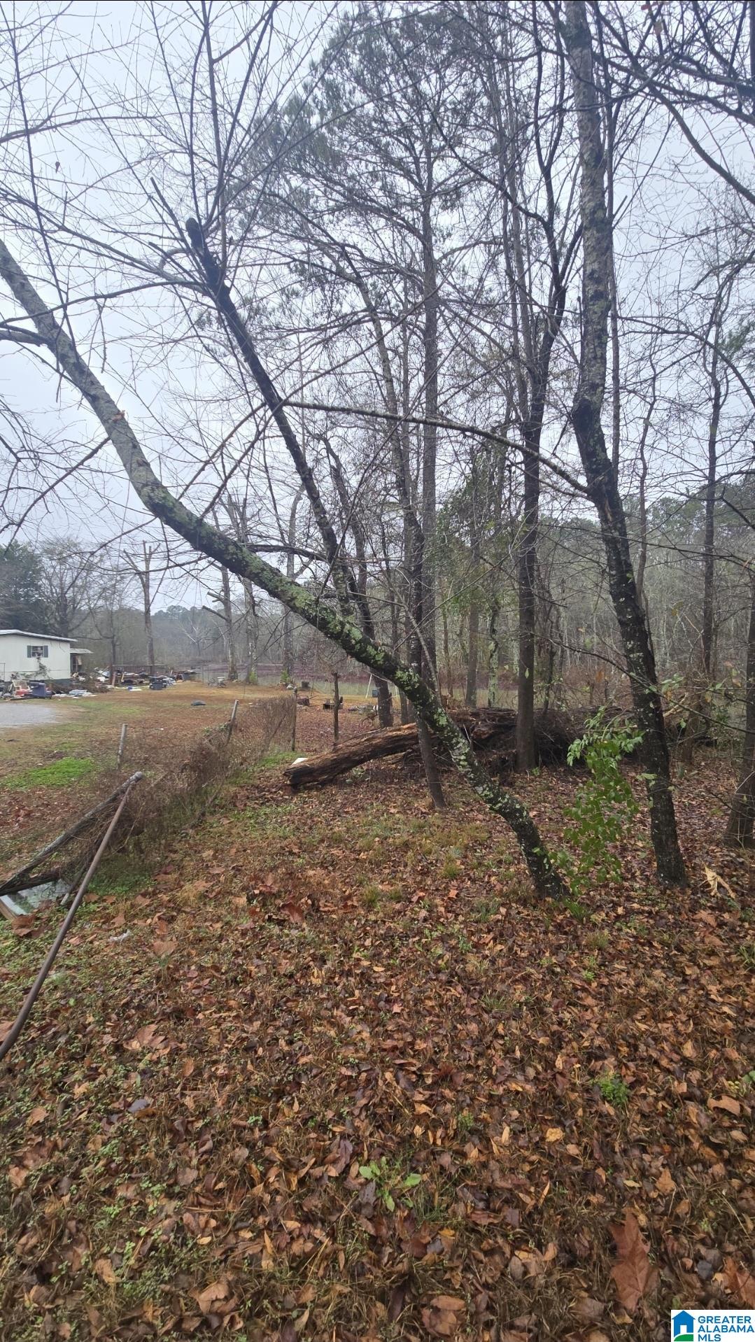 Land in HARPERSVILLE 2