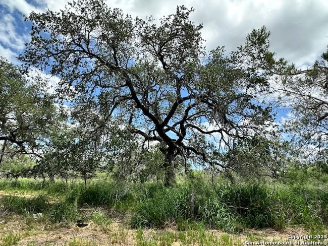 7527 N State Highway 16, Home with 3 bedrooms, 2 bathrooms and null parking in Poteet TX | Image 9