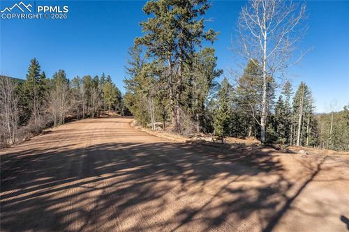 565 Fairview Drive, Cripple Creek, CO, 80813 | Card Image